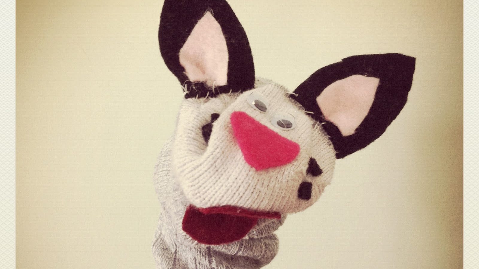 Sock puppets! IMG_1722