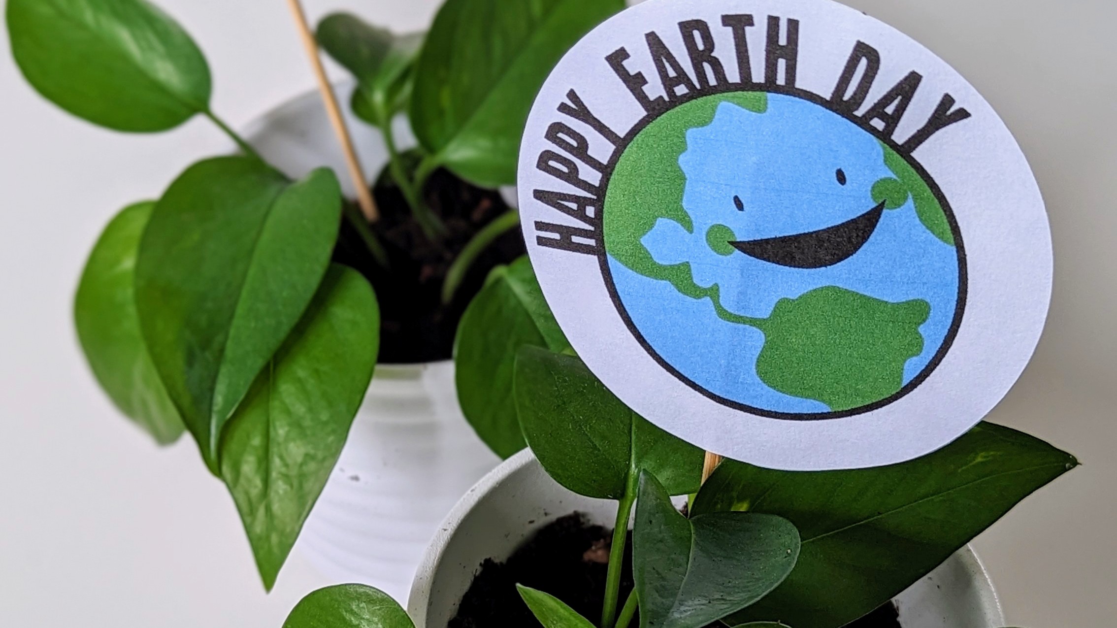 Earth Day Plant Card PXL_20240420_182442609.PORTRAIT~2