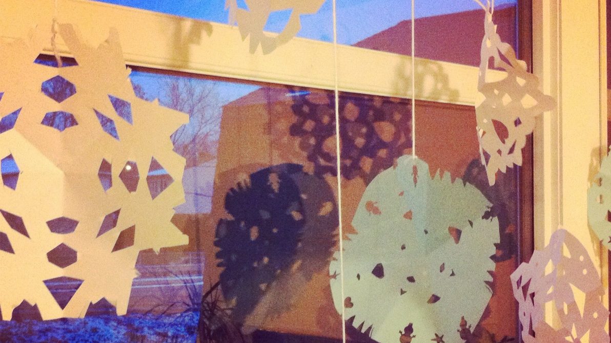 Classic Paper Snowflakes IMG_3672