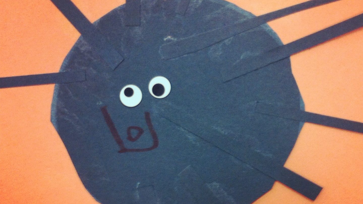 Itsy Bitsy Spider IMG_1686