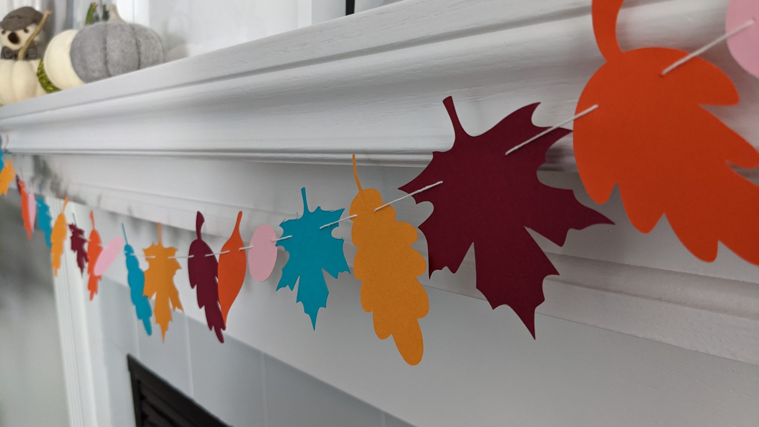 PXL_20210926_144746238